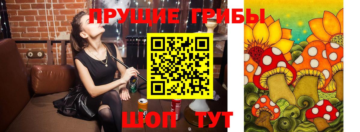 Галлюциногенные грибы Psilocybe Шали