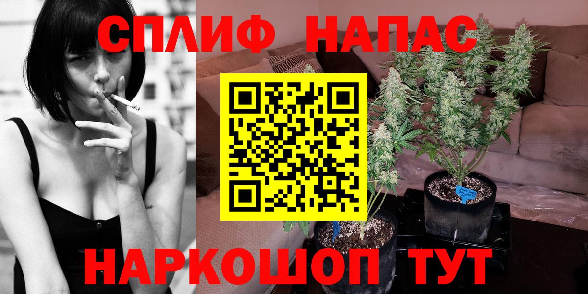 Бошки марихуана индика  Каннабис VHQ  Шали  Канабис ГИДРОПОН  Вход с VPN 
